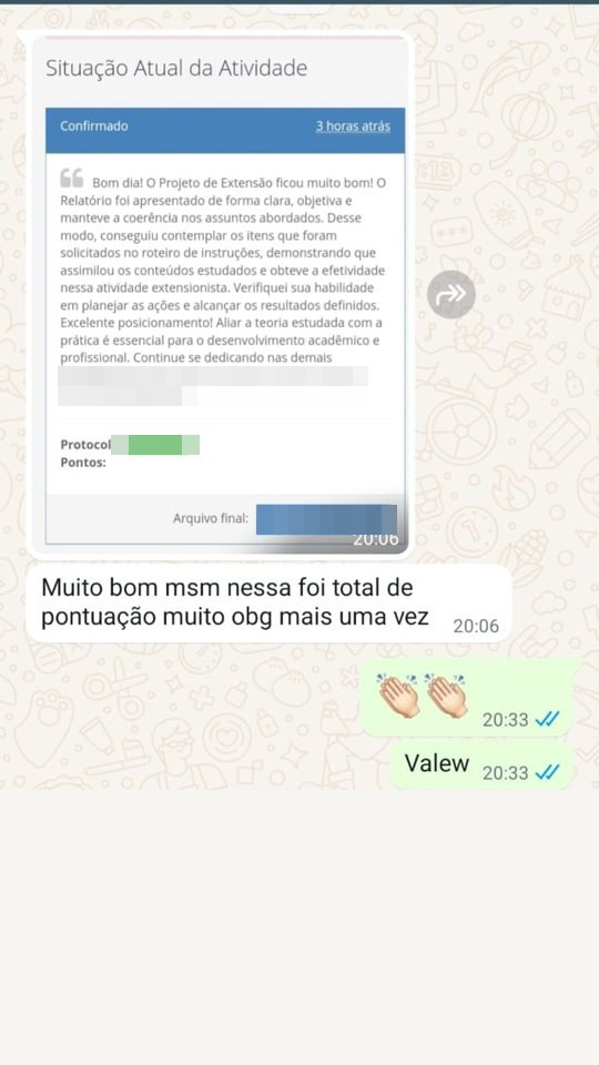 Mensagem de estudante sobre o relatório final do Projeto de Extensão